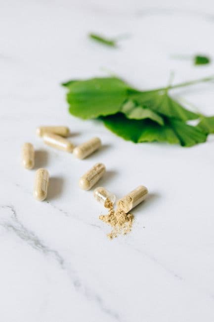 Ashwagandha Root Extract