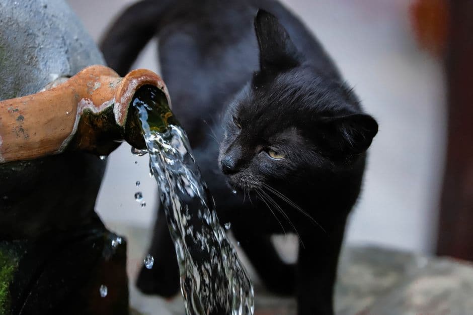 Automatic Pet Water Fountain