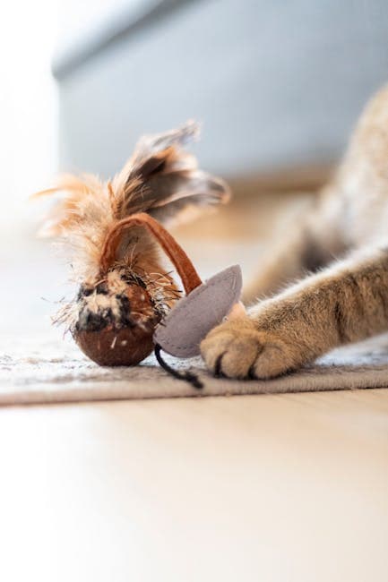 Natural Catnip Toy Bundle (5-Piece)