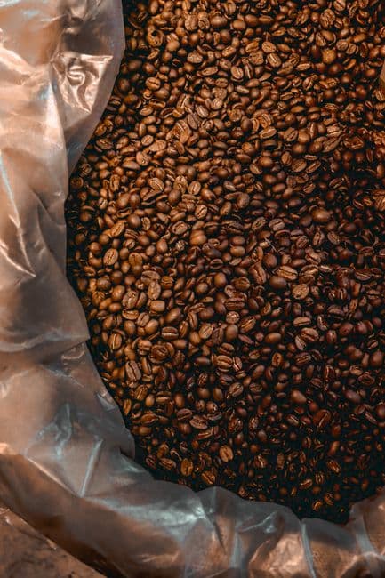 Specialty Medium-Roast Coffee Beans