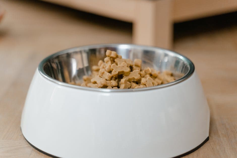 Stainless Steel Pet Bowls (Set of 2)